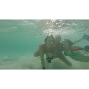 Meet your Posher, Abigail