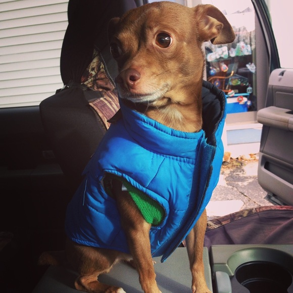 Meet your posher, Cassidy! - Picture 2 of 3