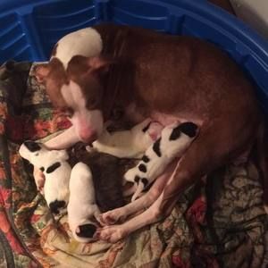 Meet your Posher, Helen