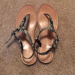 Snakeskin sandals