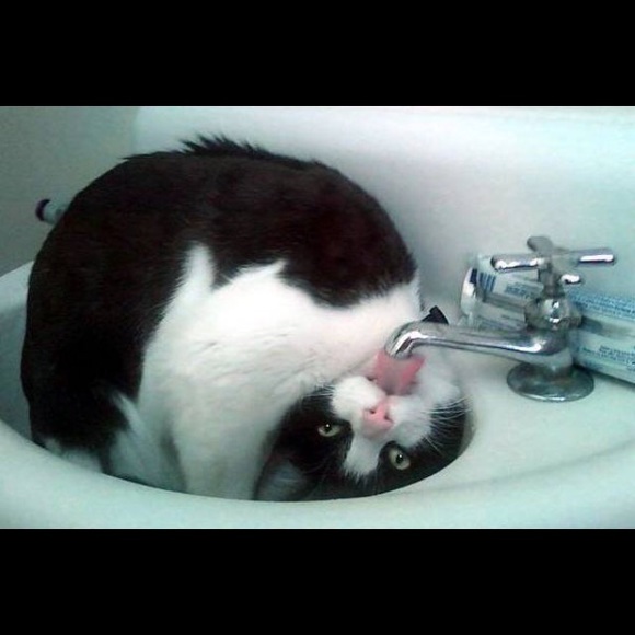 🌟AUGUST SALE-SLASHED PRICES!!!🌟 - Picture 3 of 3