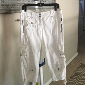 The Limited cargo crops