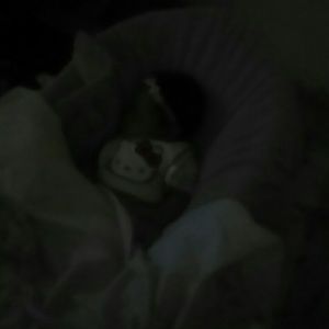 Meet your Posher, Erica