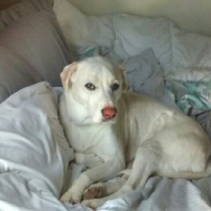 Meet your Posher, Vivian