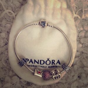 Pandora Bracelet with Charms