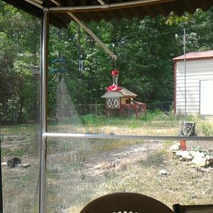 Meet your Posher, Shelly