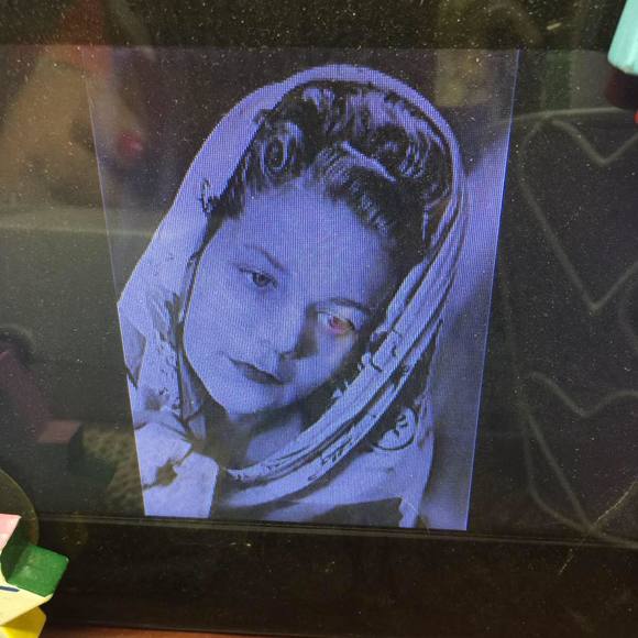 Meet your Posher, Daila jane - Picture 1 of 1