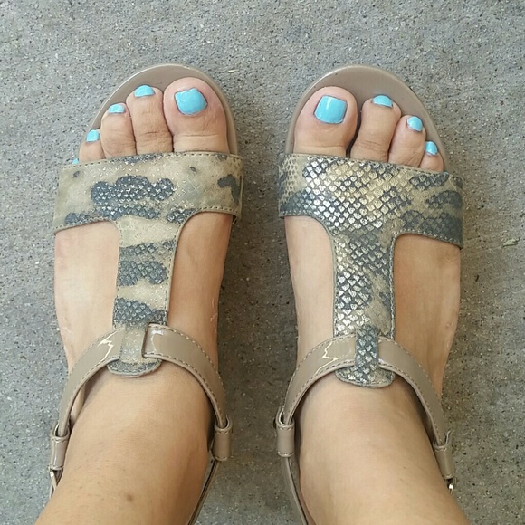 Yellow Box Wedges