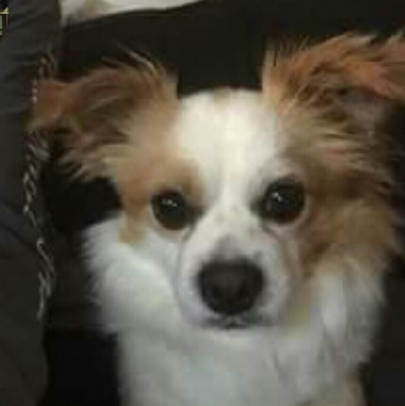 Meet your Posher, Chelsy