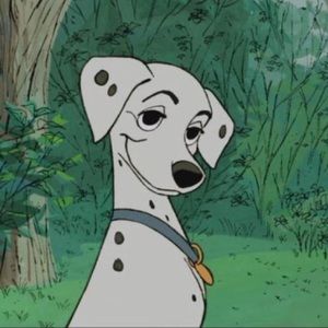 Meet your Posher, Ashtin