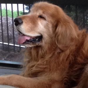 Meet your Posher, Beth