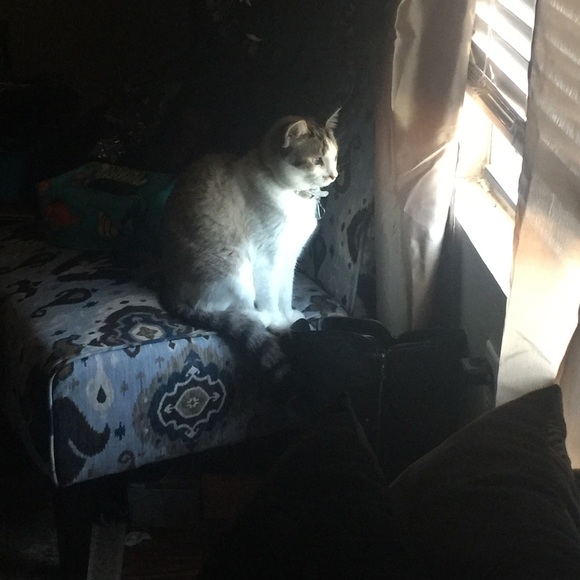 Meet your posher - Picture 2 of 4