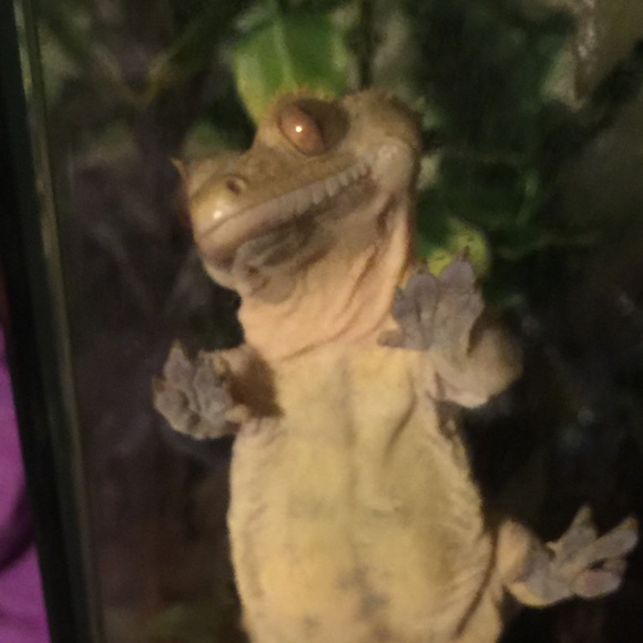 Meet your posher - Picture 3 of 4