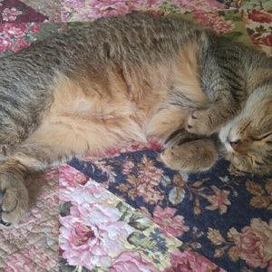 Meet your Posher, Beverly