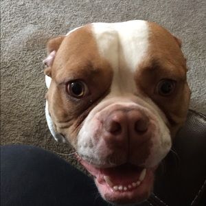 Meet your Posher, Beth