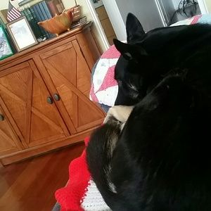 Meet your Posher, Karen