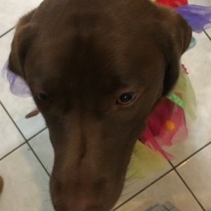 Meet your Posher, Talisa