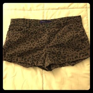 Miley Cyrus MaxAzria cheetah print shorts size 13