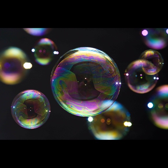 Meet your Posher, Lucy - Picture 1 of 1