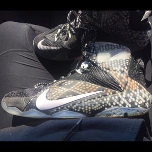 Lebron 12s