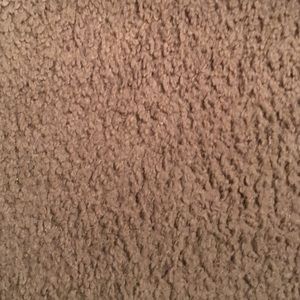 Meet your Posher, Holly