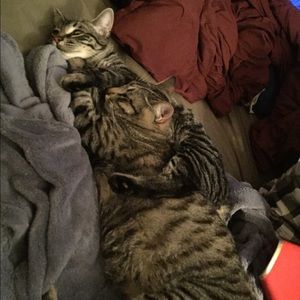 Meet your Posher, Elle