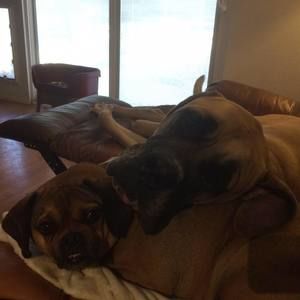 Meet your Posher, Elizabeth