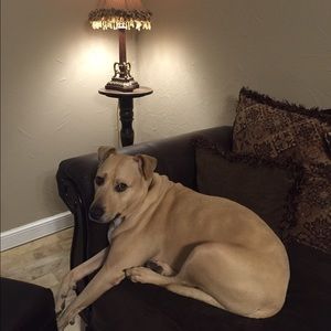 Meet your Posher, Kristy