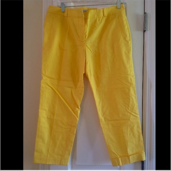 New york and company bundle