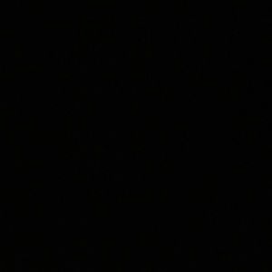 Meet your Posher, Gracie