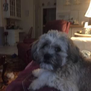 Meet your Posher, Vickie