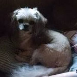 Meet your Posher, Ethan shane