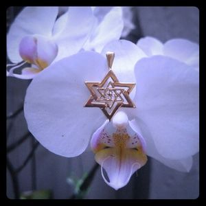 FLASH SALE 1 HOUR ONLY 14K Gold Star of David