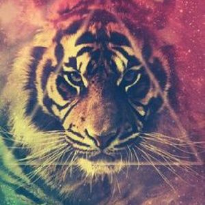 Meet your Posher, Dillon