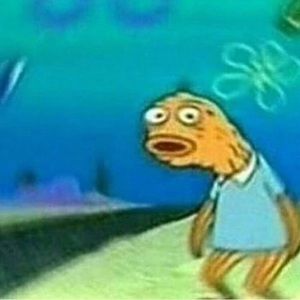 Meet your Posher, Camila