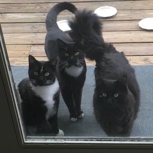 Meet your Posher, Jill