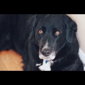 Meet your Posher, Lexi