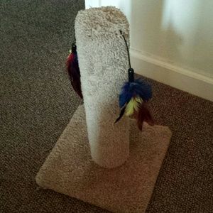 Cat scratching post with feathers