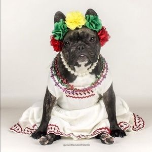 Meet your Posher, Vauncy