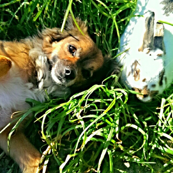 Meet your Posher, Dani