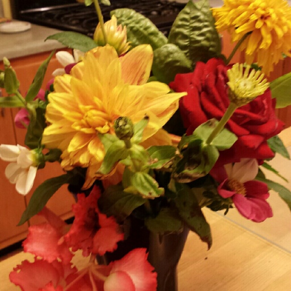 Meet your Posher, Lynn
