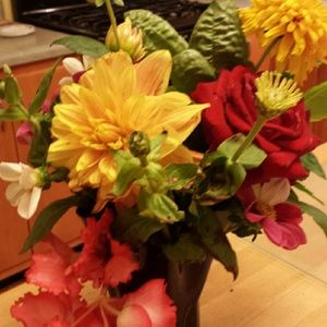 Meet your Posher, Lynn