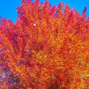 Meet your Posher, Christie