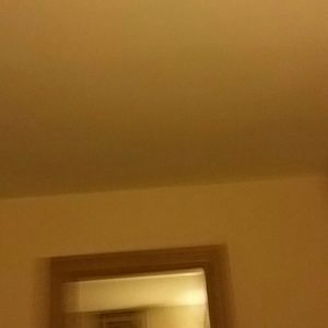 Meet your Posher, Natasha