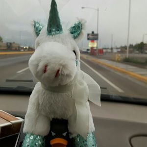 Meet your Posher, Jolynn