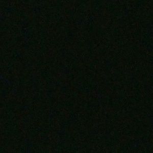 Meet your Posher, Ernestine