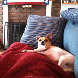 Meet your Posher, Peggy