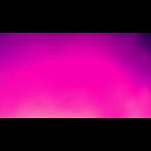 Meet your Posher, Shyla