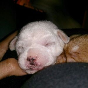 Meet your Posher, Roselyn