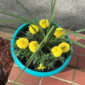 Meet your Posher, Krystal